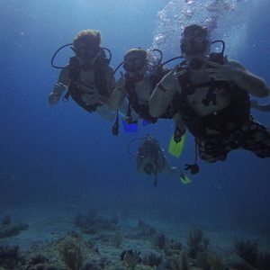 Meet your Posher, Caleb